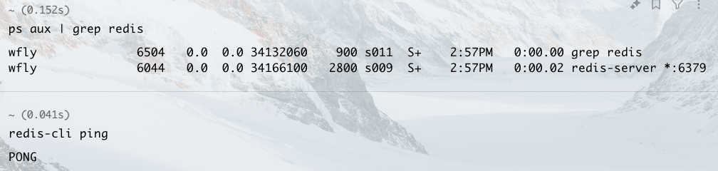 ps aux 命令输出中的 redis-server 进程信息,包含 PID、CPU 内存占用和监听地址端口