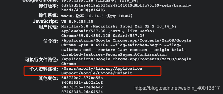 chrome://version 页面中的个人资料路径